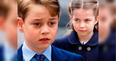 принц Уильям - принц Джордж - Кейт - принцесса Шарлотта - «Большие поклонники Диснея»: стали известны любимые фильмы и сериалы принца Джорджа и принцессы Шарлотты - fakty.ua - Украина - Ирландия