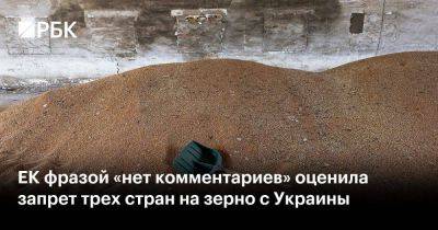 ЕК фразой «нет комментариев» оценила запрет трех стран на зерно с Украины