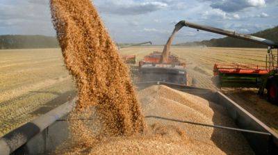 Три страны ЕС решили прекратить участие в работе платформы по импорту украинского зерна