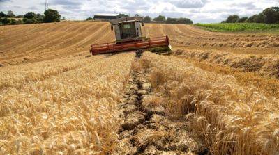 Испания и Франция раскритиковали продление тремя странами ЕС запрета на импорт зерна из Украины