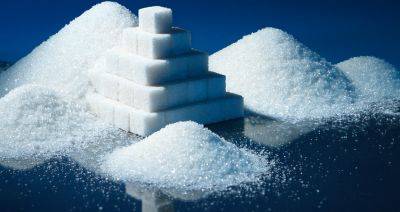 БУТБ отметила рост активности белорусских сахарных заводов на биржевых торгах