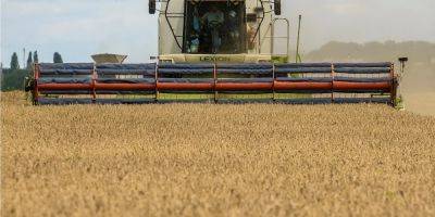 Запрет на импорт зерна: Украина предлагает компромисс Польше, Венгрии и Словакии