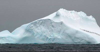 Разбудили гиганта Антарктики: ученые предупреждают о проблемах на Южном полюсе Земли