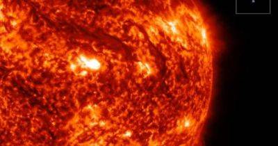 Самое большое извержение на Солнце. К Земле летит огромный поток горячей плазмы (видео)