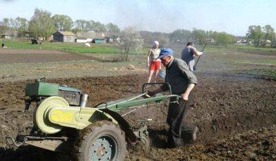 Под дачи или огороды: кому из украинцев начнут раздавать бесплатную землю