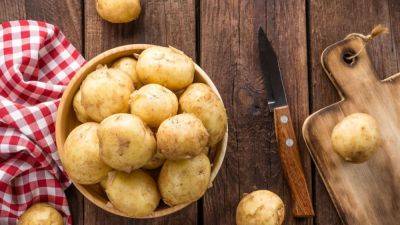 Картофельная кожура – как использовать на даче – полезные советы
