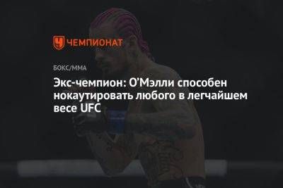 Экс-чемпион: О’Мэлли способен нокаутировать любого в легчайшем весе UFC