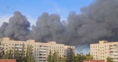 Масштабный пожар под Петербургом: в РФ загорелось здание хладокомбината (видео)