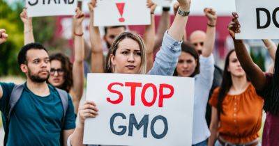 Мифы о ГМО. Как в Украине собираются контролировать производство генетически модифицированных продуктов