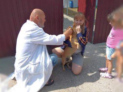 В Одесской области бесплатно вакцинируют животных от бешенства | Новости Одессы