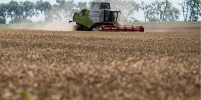 Болгария планирует запретить импорт семян подсолнечника из Украины