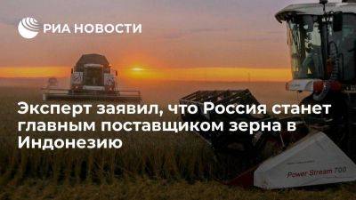 Эксперт: Россия может заменить Украину в качестве поставщика зерна в Индонезию