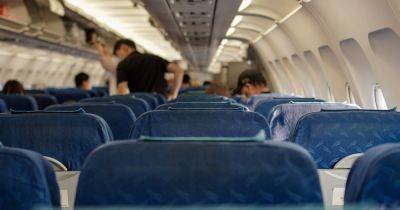 Пассажир самолета притворился вегетарианцем, чтобы дорого поесть: его "вывел на чистую воду" экипаж