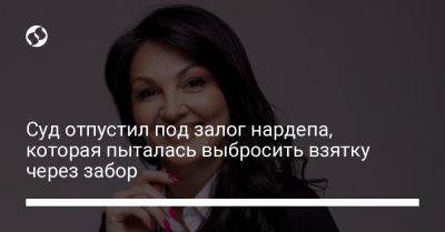 Людмила Марченко - Суд отпустил под залог нардепа, которая пыталась выбросить взятку через забор - liga.net - Украина
