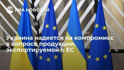 Украина надеется на компромисс по лицензированию продукции, экспортируемой в ЕС