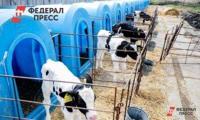 Нижегородским аграриям с начала года выделено субсидий на 4,4 млрд рублей