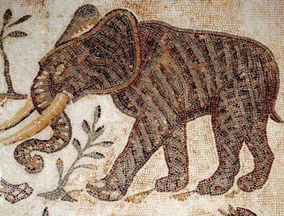 В Испании нашли останки боевого слона, которым 2000 лет - фото