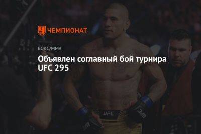 Объявлен соглавный бой турнира UFC 295