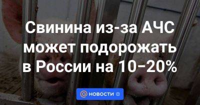 Свинина из-за АЧС может подорожать в России на 10−20%