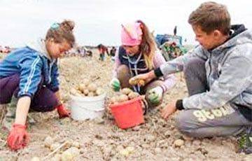 Лукашенко призвал привлекать детей к работам