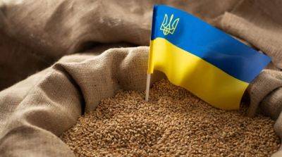 Польша изучит украинский план по экспорту агропродукции