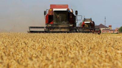 Словакия готова отменить запрет на импорт украинского зерна, но есть условие