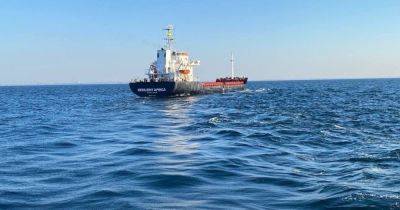 Прорвало блокаду: первое судно с зерном из Украины прибыло в Босфор