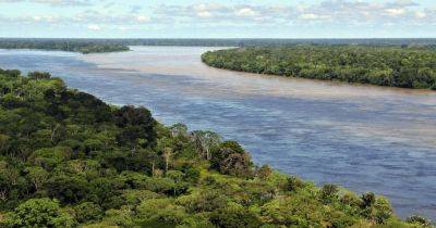 Феномен амазонского чернозема: ученые узнали, как в лесах Амазонки появилась такая плодородная почва