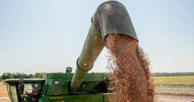 "Шаг вперед": в Минэкономики Украины рассказали о возможном решении зернового вопроса (видео)