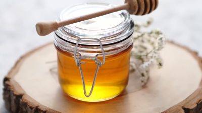 Поможет обычный сухарик: названы 6 способов, которые помогут отличить натуральный мед от подделки