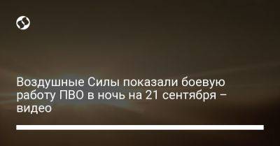 Воздушные Силы показали боевую работу ПВО в ночь на 21 сентября – видео