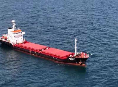 Первое судно с украинским зерном прибыло в Турцию по "гуманитарному коридору". Reuters показав видео