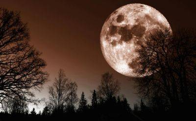 Лунный календарь октябрь 2023 – благоприятные и неблагоприятные дни в октябре - когда затемнение в октябре - apostrophe.ua - Украина