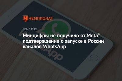 Минцифры не получило от Meta* подтверждение о запуске в России каналов WhatsApp