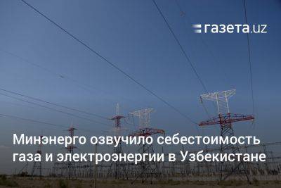 Минэнерго озвучило себестоимость газа и электроэнергии в Узбекистане