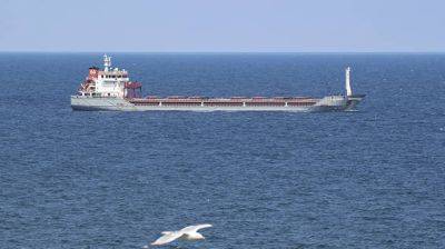 Влияние России на экспорт зерна из Украины по морю в ближайшие недели уменьшится - Госдеп