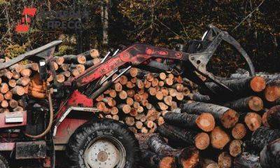 В Красноярском крае поддержат предпринимателей лесопромышленности