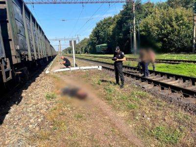 На Киевщине поезд сбил человека