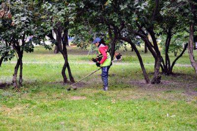 В Харькове за лето пять раз покосили траву — отчет коммунальщиков за сезон