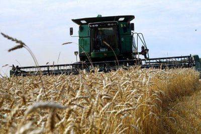 Цены на зерновые и сою в США консолидируются после снижения