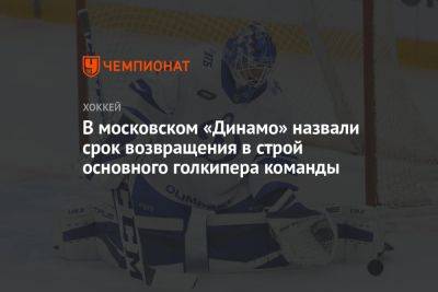 В московском «Динамо» назвали срок возвращения в строй основного голкипера команды