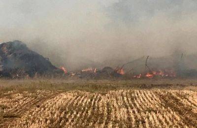 Горящие воздушные шары из Газы привели к пожару на полях кибуца Кисуфим - nashe.orbita.co.il - Израиль - Газ