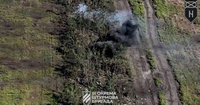Накрыли огнем: появилось видео с БПЛА, как 3 ОШБр зачищала лесополосу возле Андреевки (видео)