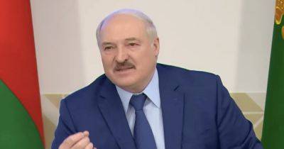 "Запад сливает": Лукашенко прокомментировал заявления Польши по зерну и оружию Украине