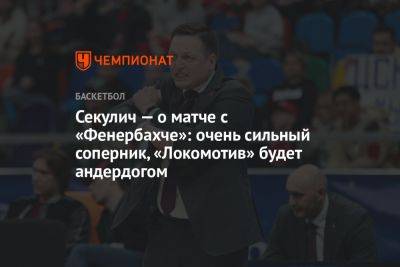 Секулич — о матче с «Фенербахче»: очень сильный соперник, «Локомотив» будет андердогом