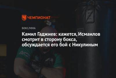 Камил Гаджиев: кажется, Исмаилов смотрит в сторону бокса, обсуждается его бой с Никулиным