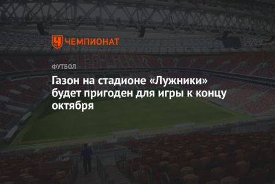 Газон на стадионе «Лужники» будет пригоден для игры к концу октября