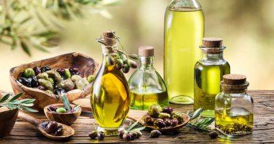 Какое бывает оливковое масло? "Золото" масличного дерева – как выбрать свой оптимум
