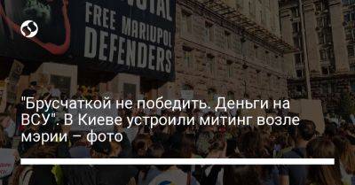 "Брусчаткой не победить. Деньги на ВСУ". В Киеве устроили митинг возле мэрии – фото
