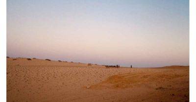 Последние носители языка. Ученые обнаружили уникальное происхождение жителей племени пустыни Намиб (фото)